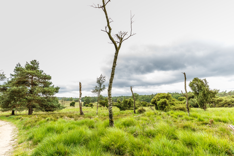 Schansenberg, Varenna and Trapjesberg Loop