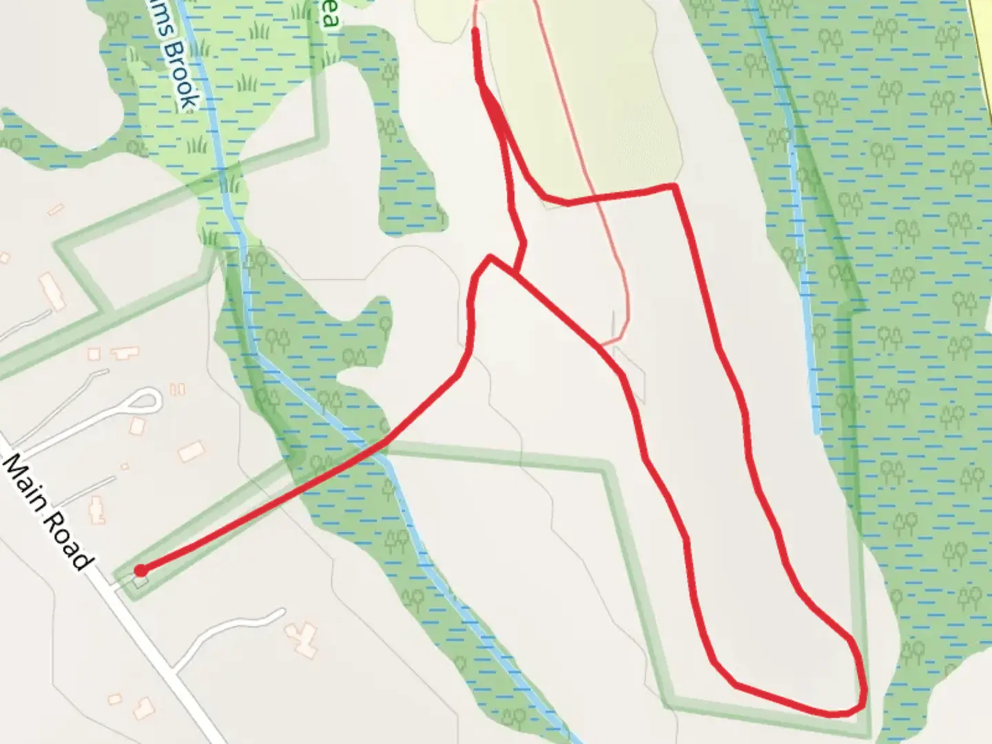 An image depicting the trail Dunham's Brook Loop and its surrounding area.