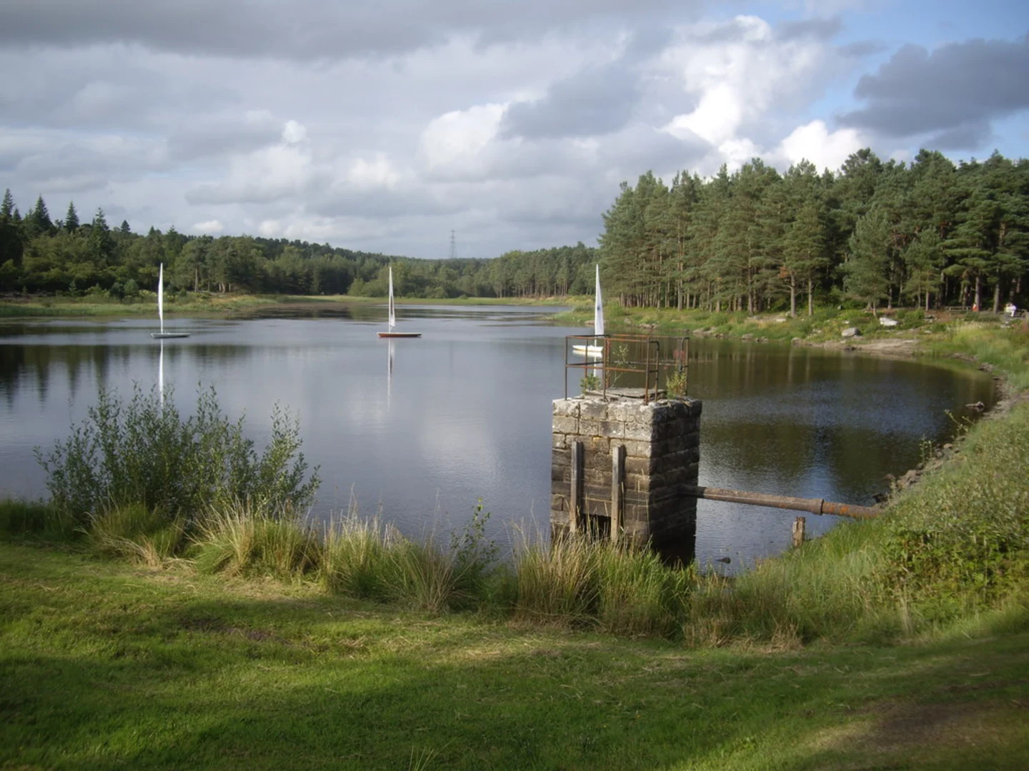 An image depicting the trail Nelly's Moss, Cragside Maze and Cragend Quarry Loop and its surrounding area.