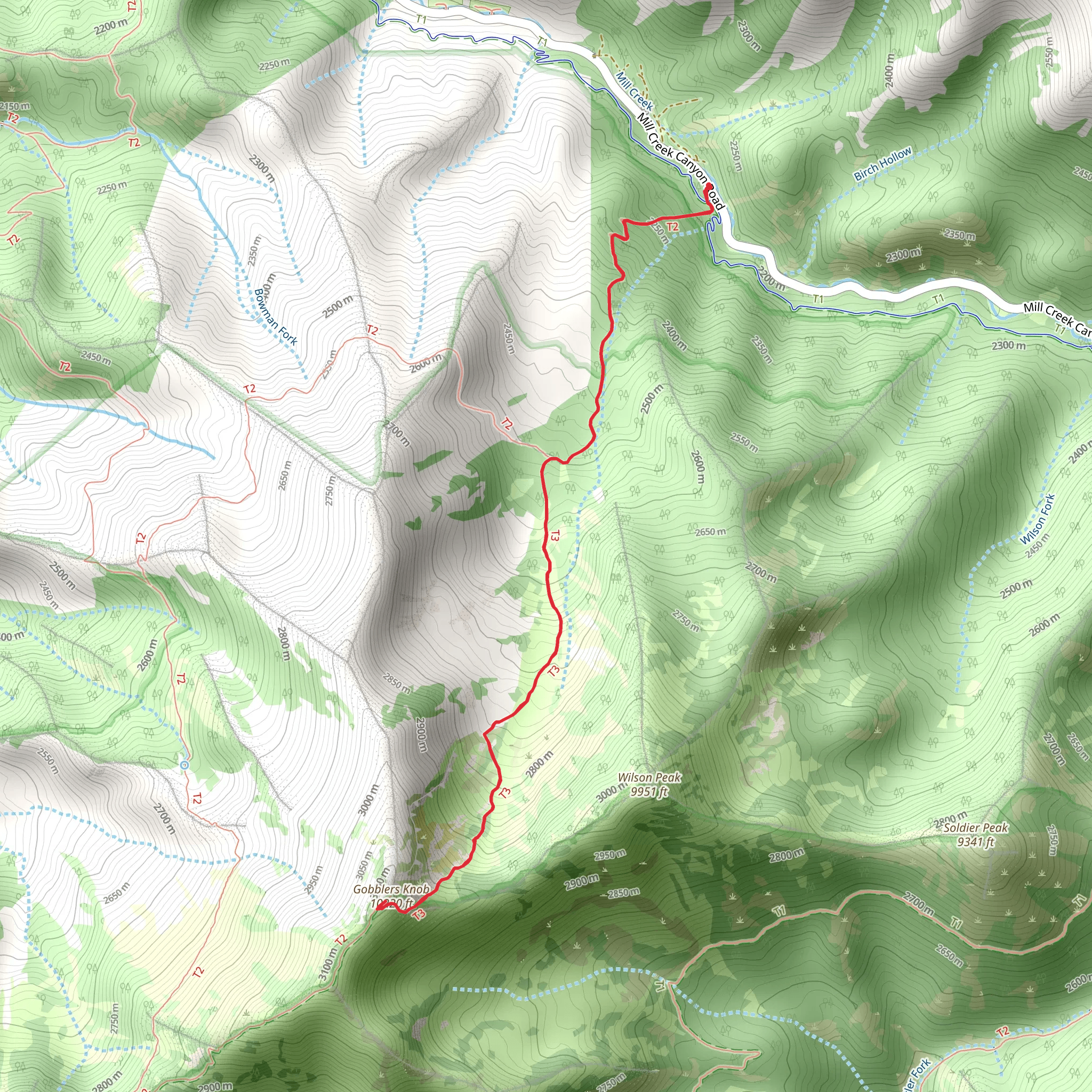 Gobblers Knob via Alexander Basin Trail mobile static map