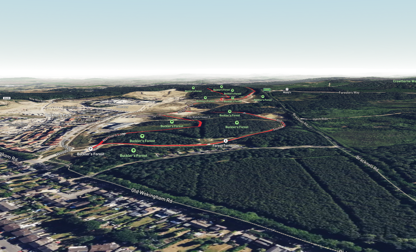 Buckler's Forest Loop