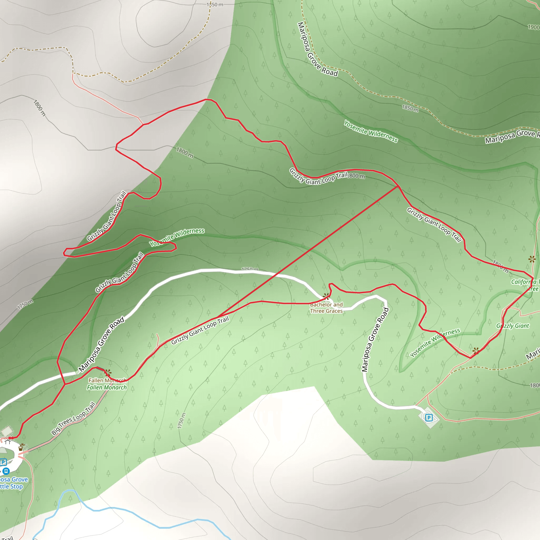 Grizzly Giant Loop Trail mobile static map