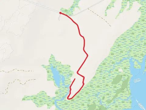 Phillips Creek from Brownsville Road