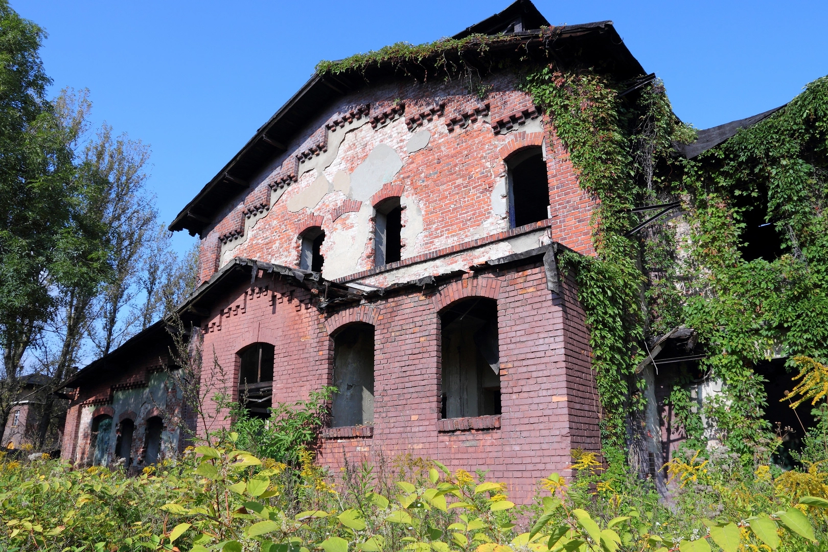 An image depicting the trail Gliwice Loop and its surrounding area.