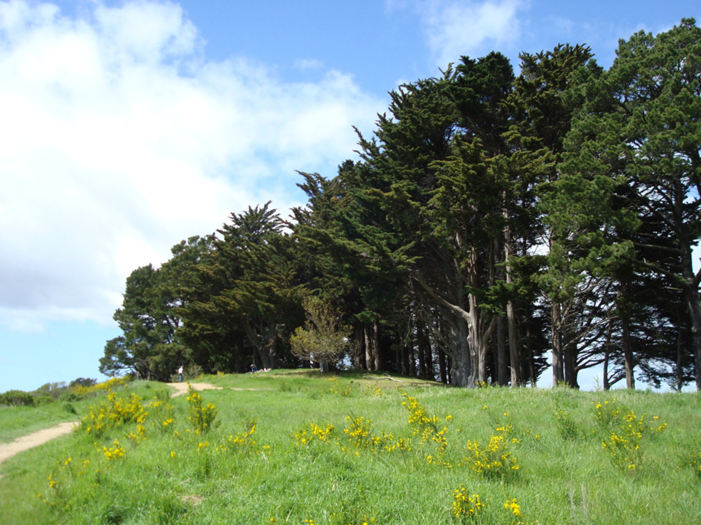 An image depicting the trail Spiral Knob and Chaparral Peak via Stonewall - Panoramic Trail and its surrounding area.