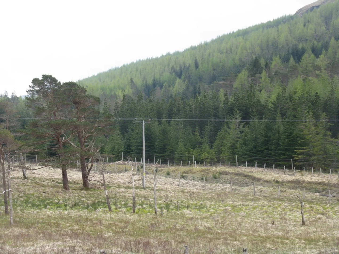 An image depicting the trail Cattle Creep Trail - Tyndrum and its surrounding area.