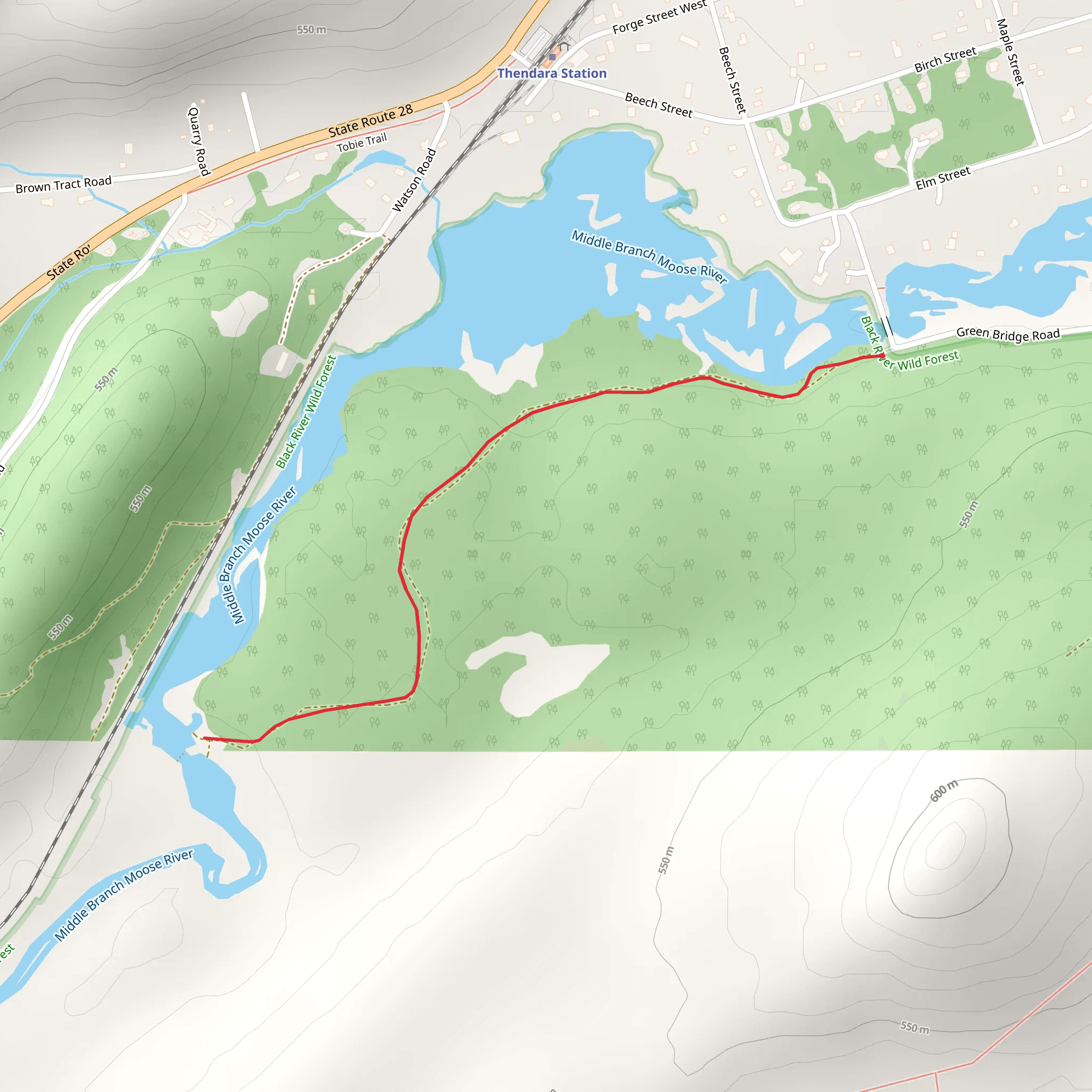 Middle Branch Moose River - Green Bridge Road mobile static map