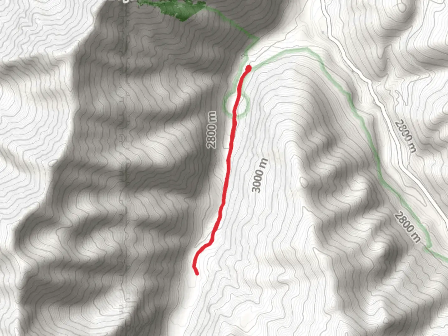 An image depicting the trail Conundrum Creek Short Trail and its surrounding area.