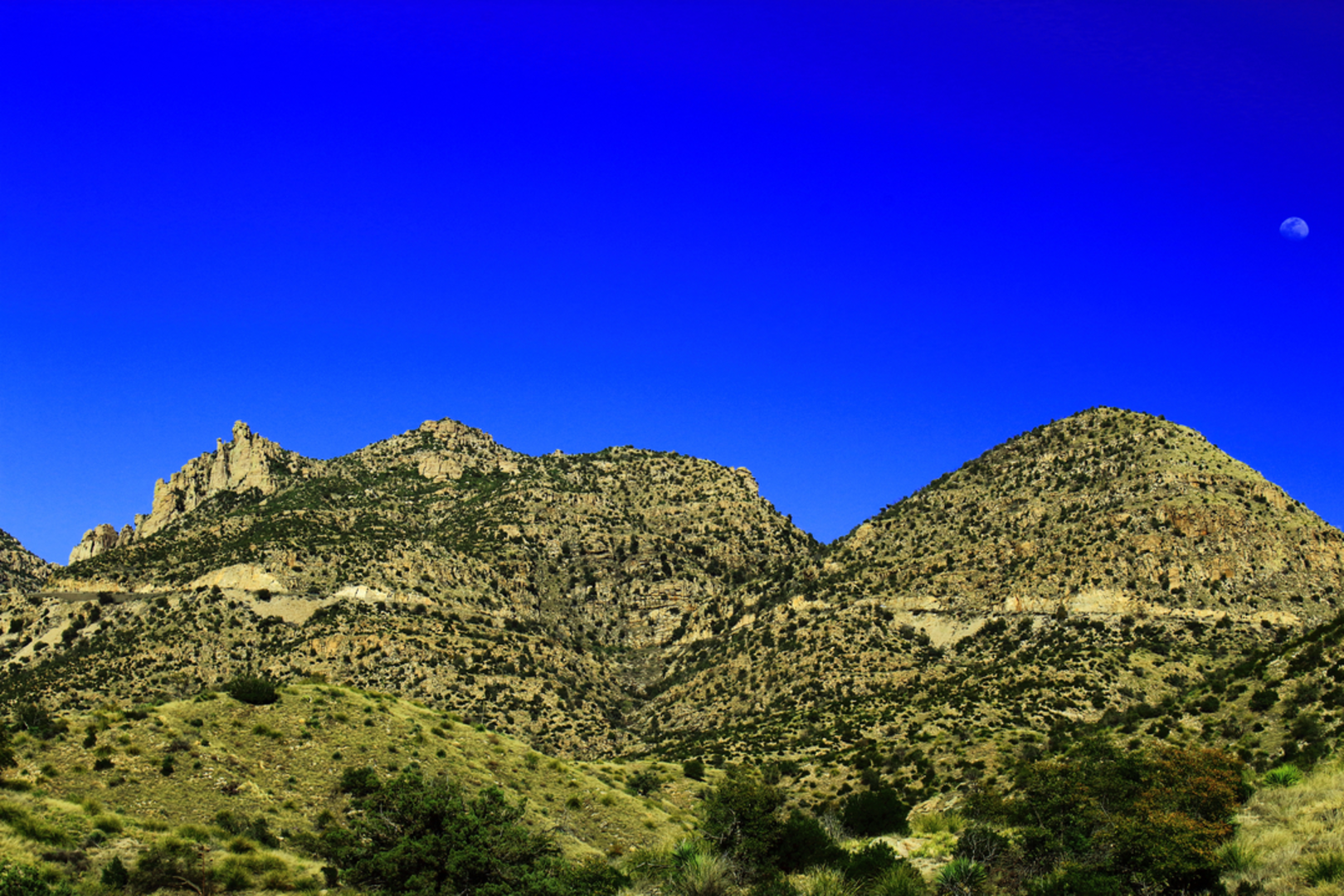 An image depicting the trail Sycamore Reservoir Trail and its surrounding area.