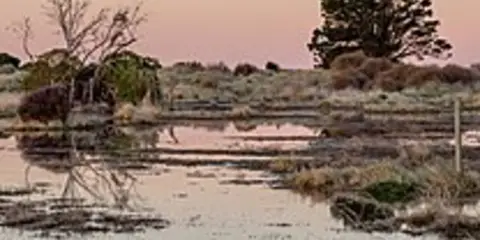 An image depicting the trail Southshore Spit Track and its surrounding area.