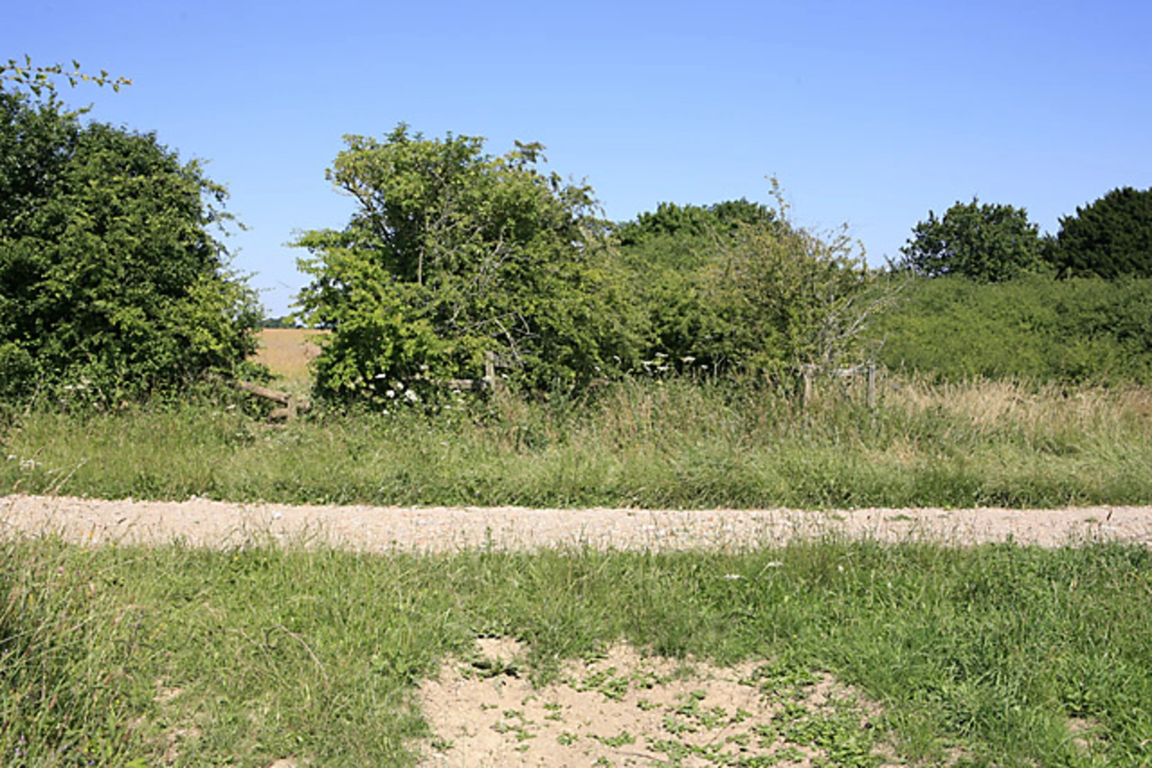 An image depicting the trail Great Yews Walk and its surrounding area.
