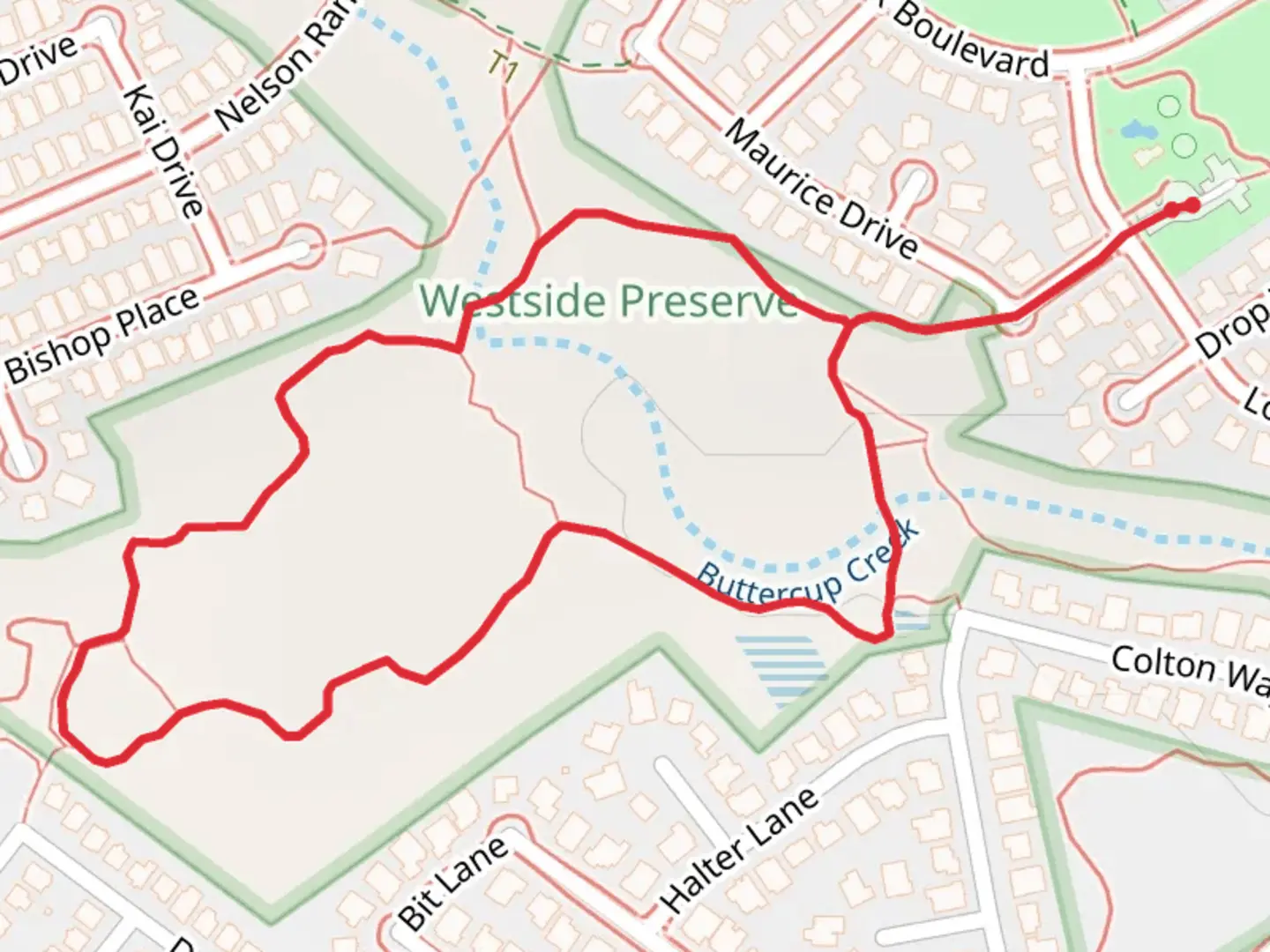 An image depicting the trail Hughes Drive Loop and its surrounding area.