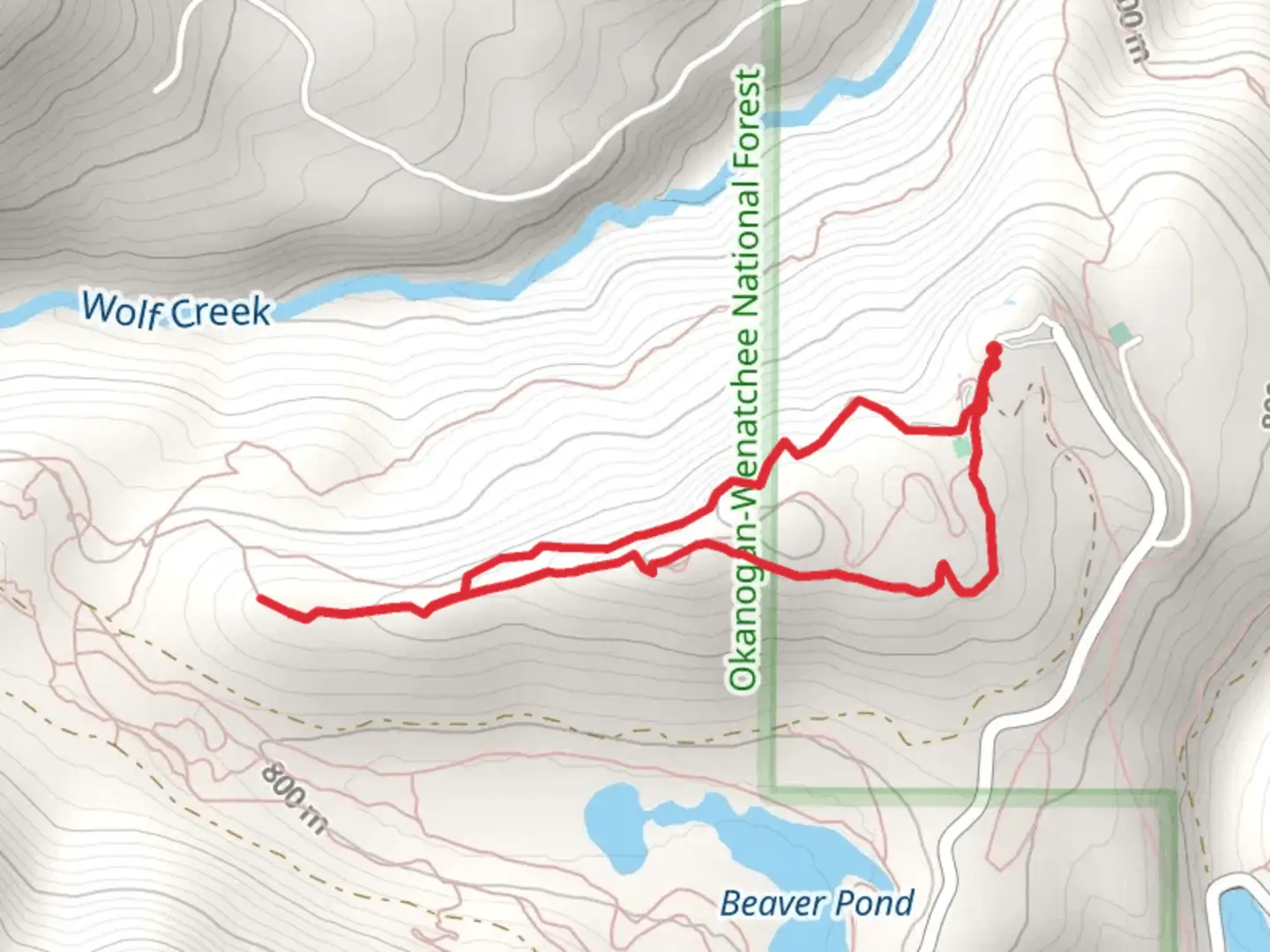 An image depicting the trail Kraule and Horse Trail and its surrounding area.