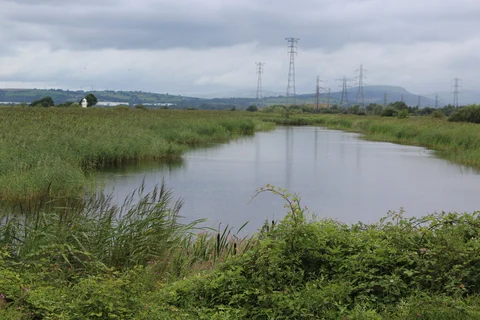 Newport Wetlands Loop