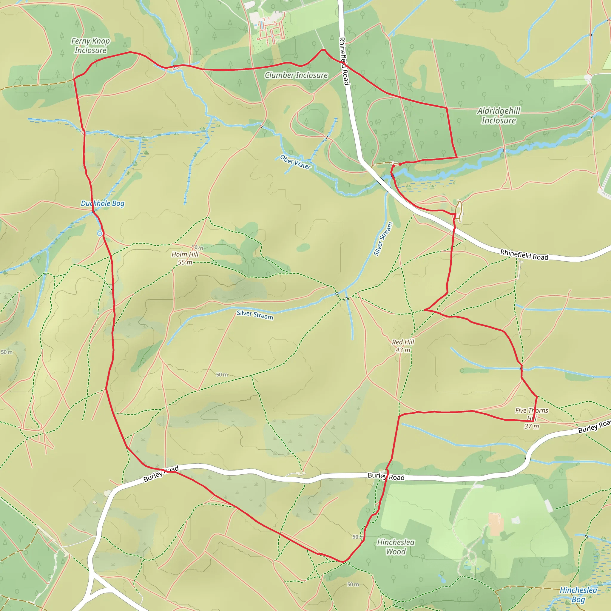 Rhinefield Walk near Brockenhurst mobile static map