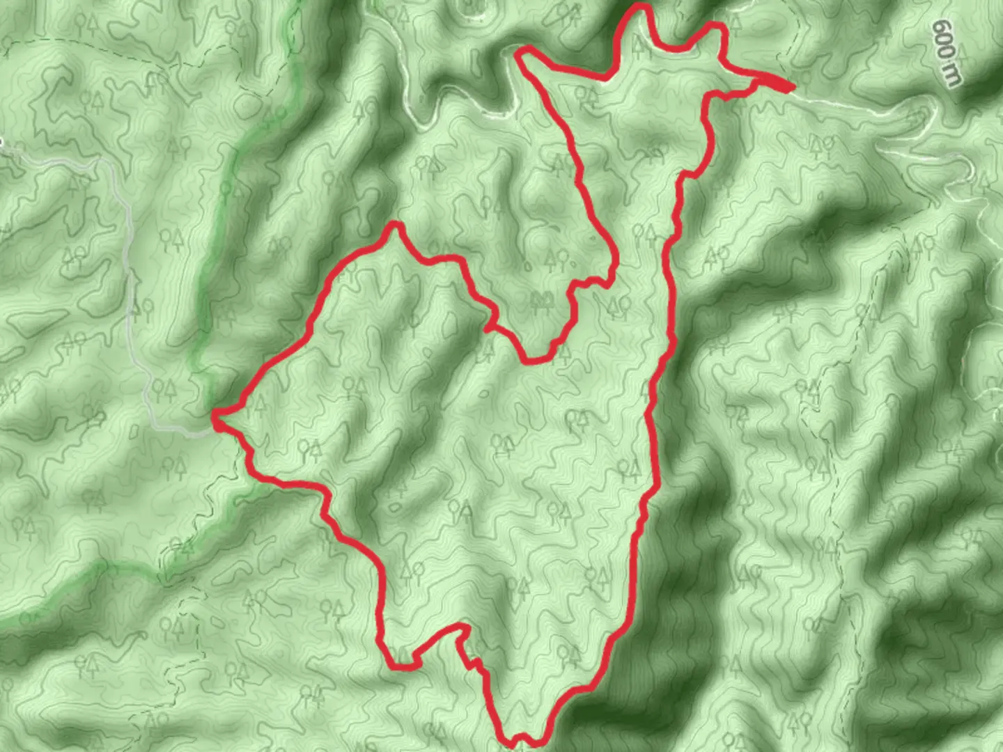An image depicting the trail Rice Camp, Jacks River and Hickory Ridge Loop and its surrounding area.