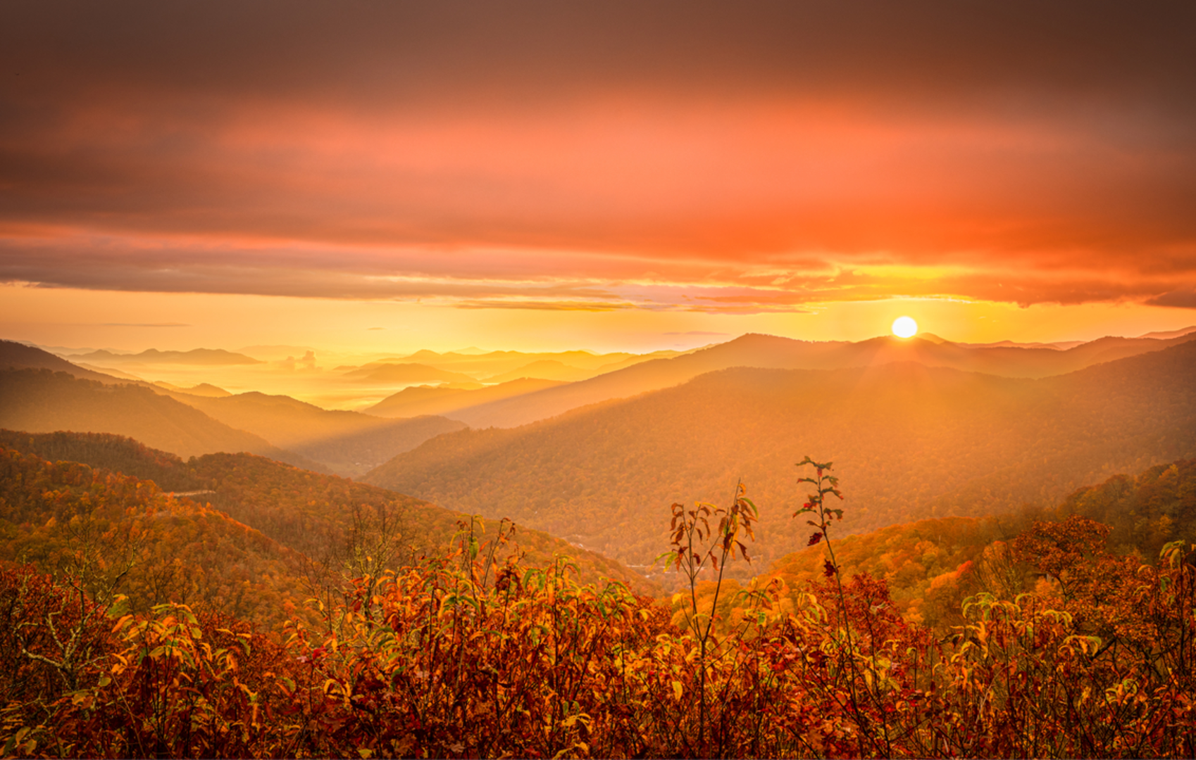 An image depicting the trail Balsam Mountain Nature Trail and its surrounding area.