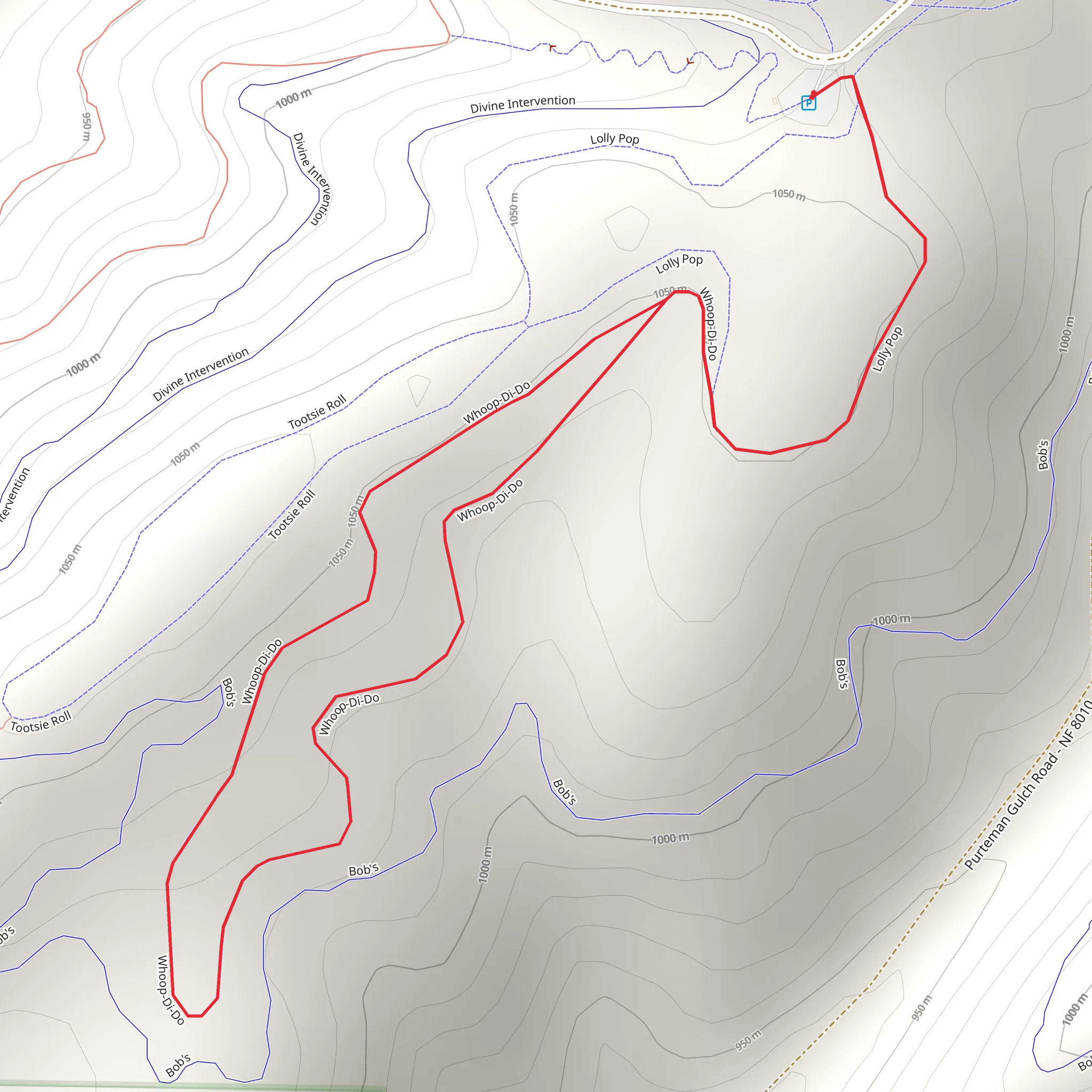 Whoop - Di - Do Spur Trail mobile static map