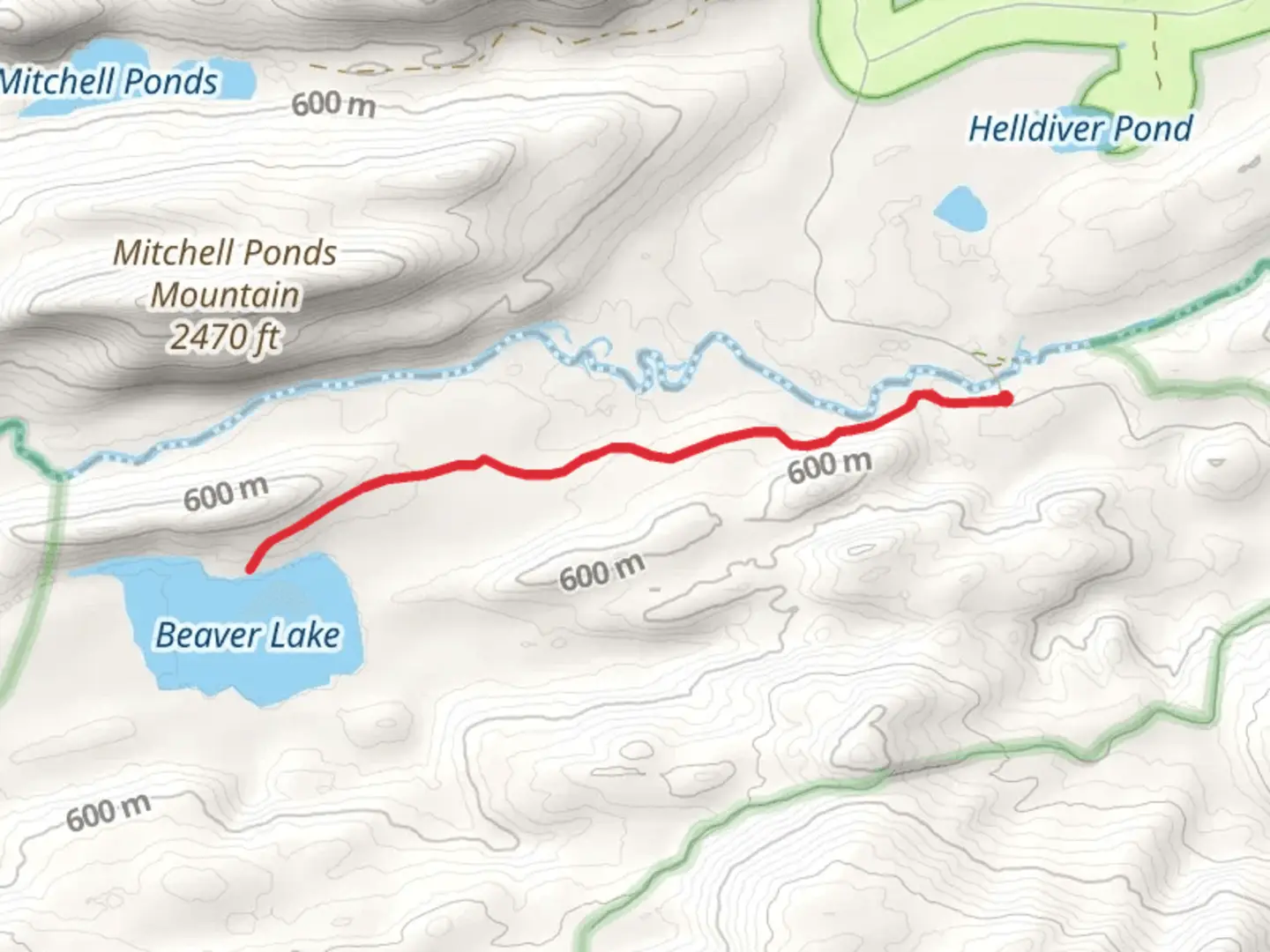 An image depicting the trail Beaver Lake Trail via Otter Brook Road and its surrounding area.