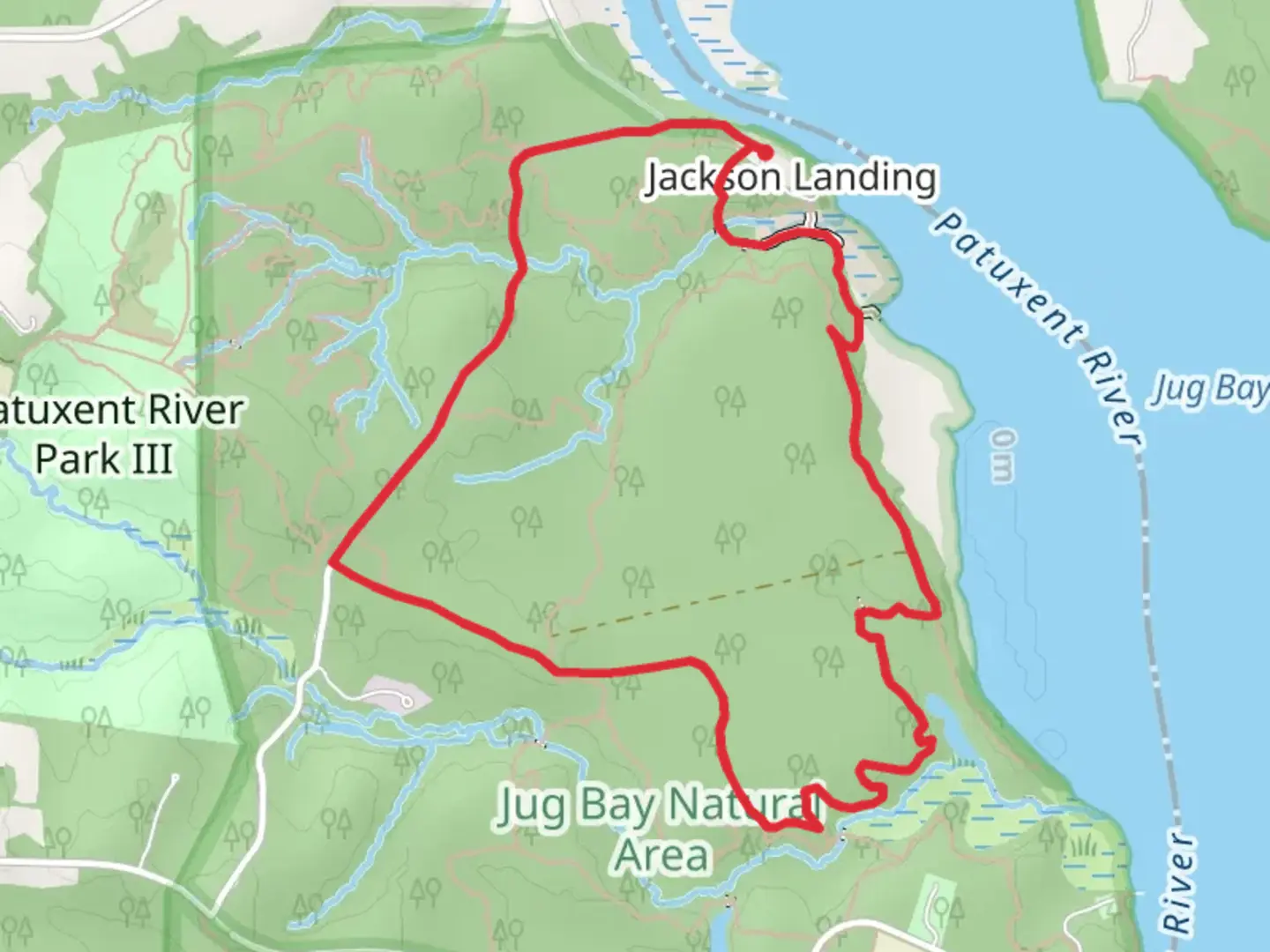 An image depicting the trail Jackson Landing Loop and its surrounding area.
