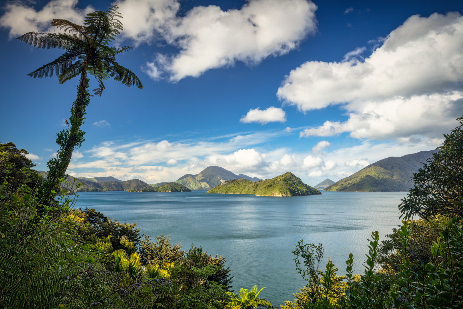 An image depicting the trail Archer Track and its surrounding area.