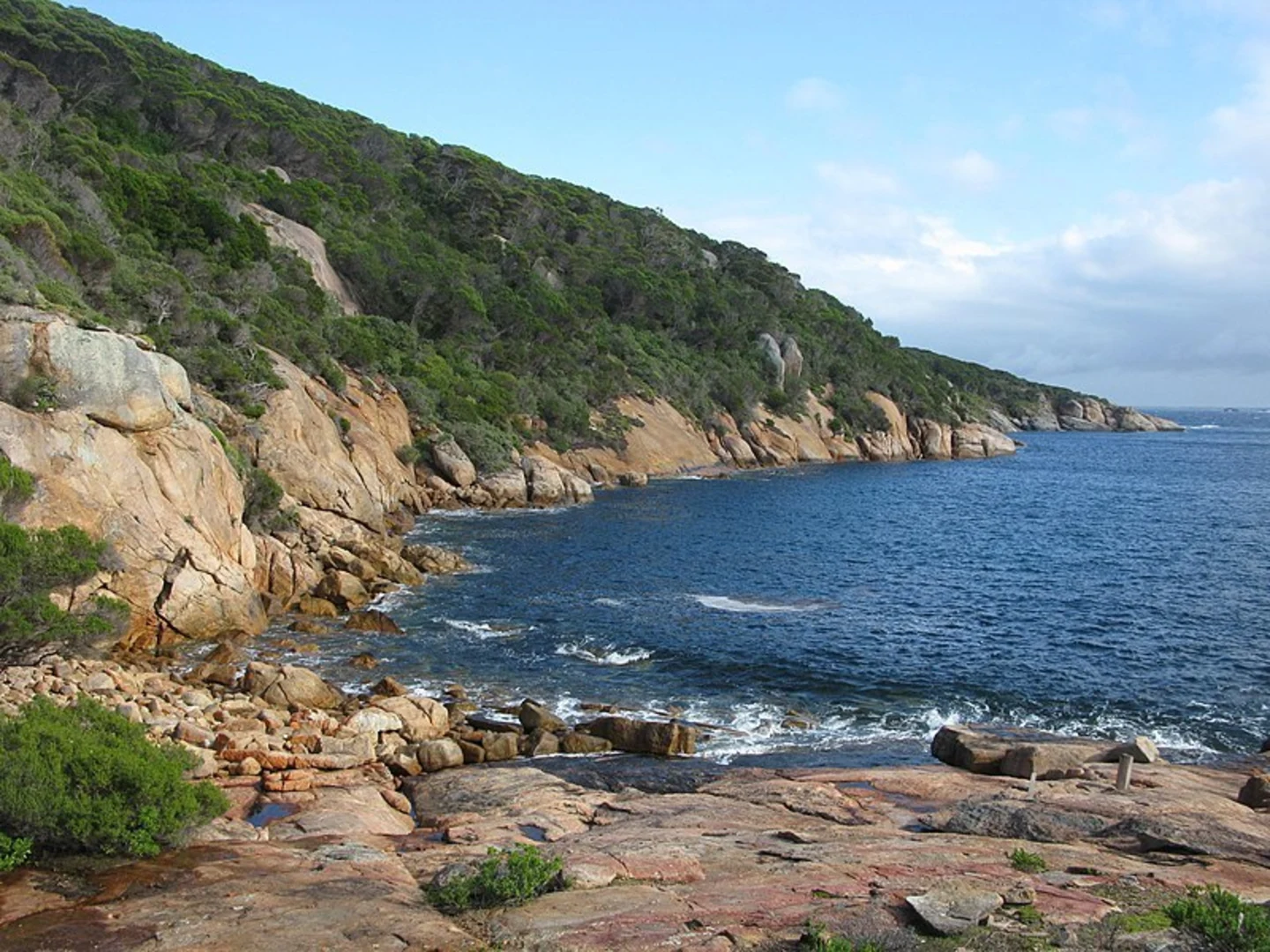 An image depicting the trail Island Top Walk and its surrounding area.
