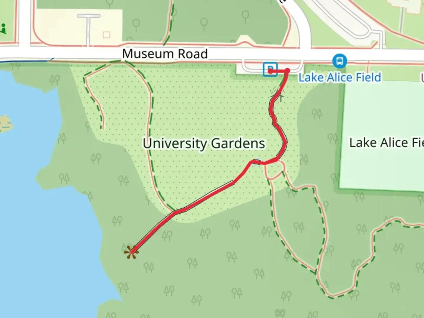 An image depicting the trail Museum Road and its surrounding area.