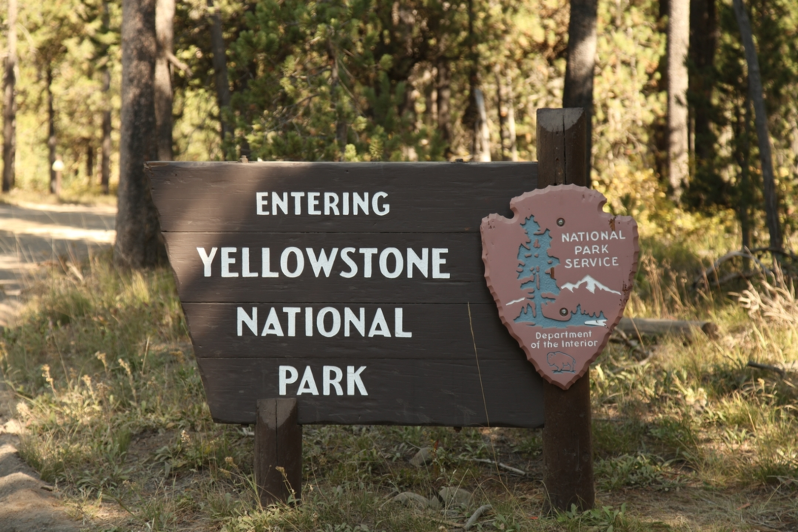 An image depicting the trail South Boundary Trail - Grassy Lake - South Entrance and its surrounding area.