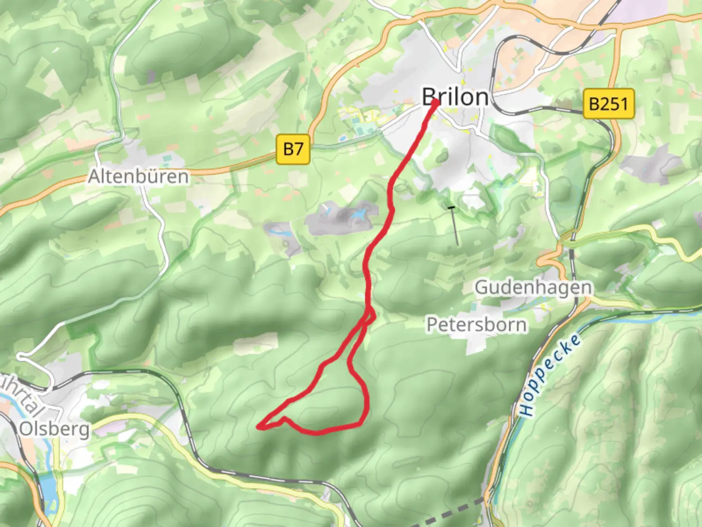 An image depicting the trail Brilon B1 and its surrounding area.
