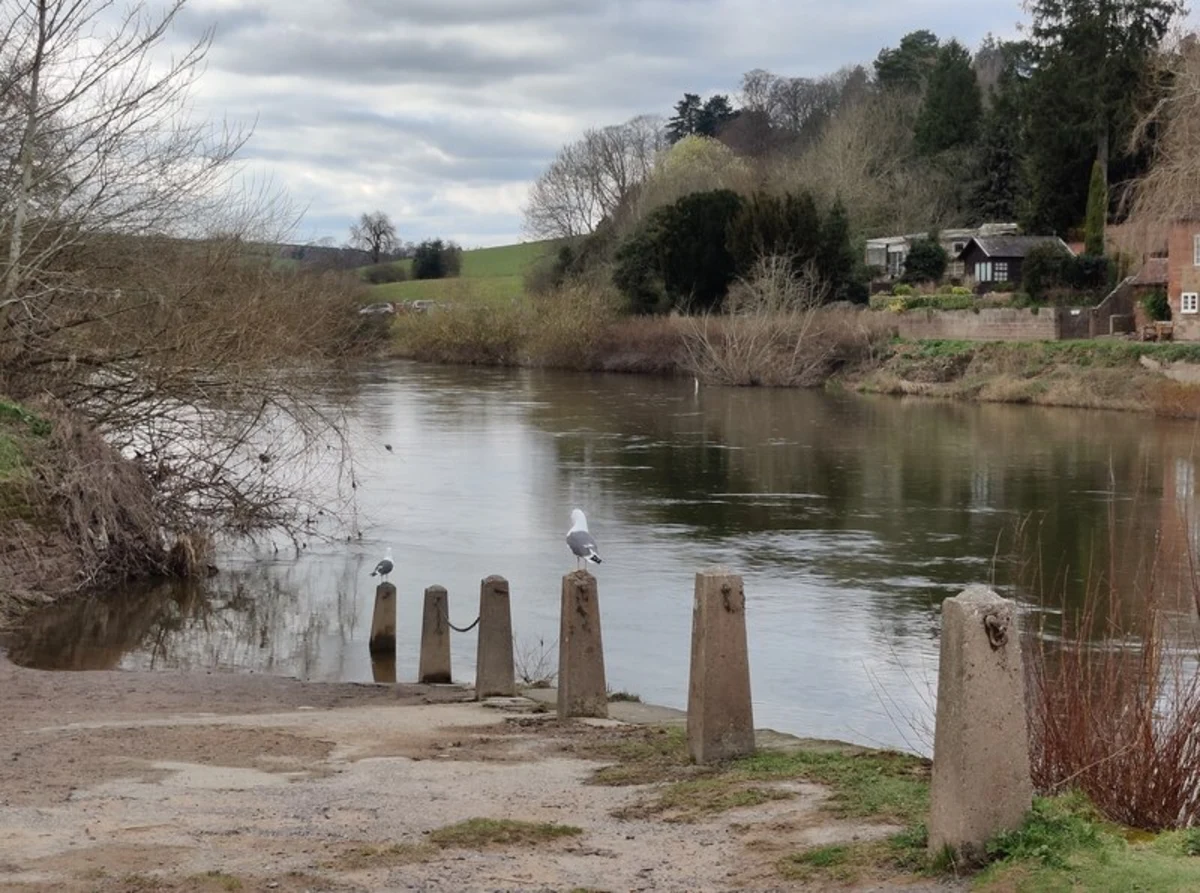 River Severn and Severn Valley Country Park Loop - Upper Arley