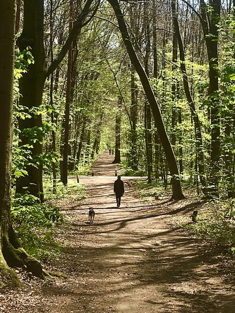 An image depicting the trail Fuerther Naturpfad and Wanderweg Marmaris and its surrounding area.
