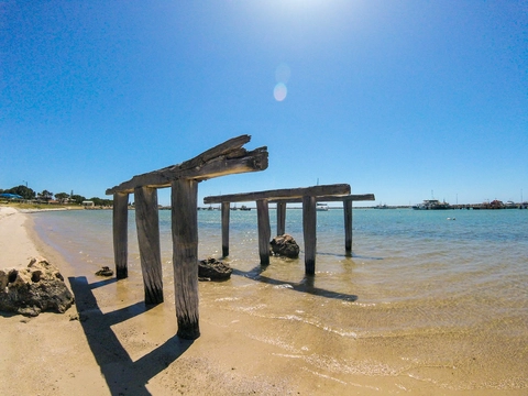 Thungara Trail 1 - Calico