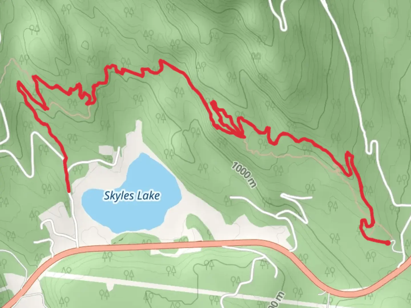 An image depicting the trail Whitefish Trail - Skyles Lake Overlook and Connector Trail and its surrounding area.