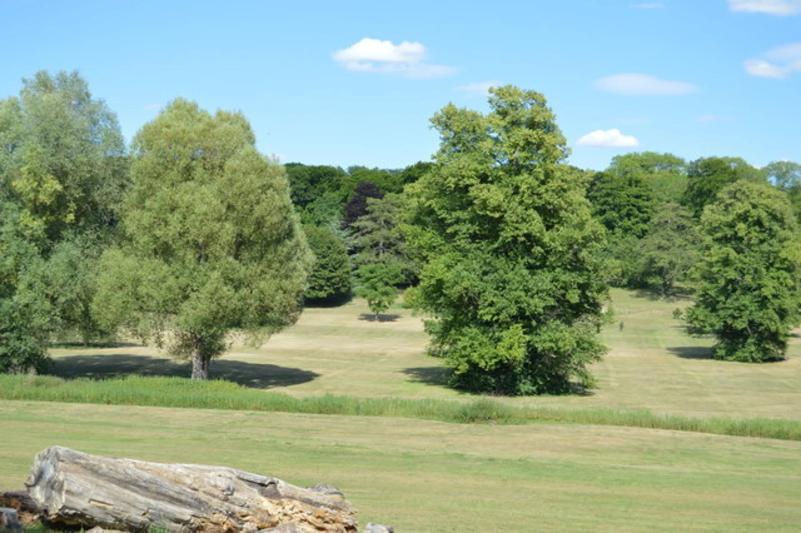 An image depicting the trail Hughenden Manor Park and its surrounding area.