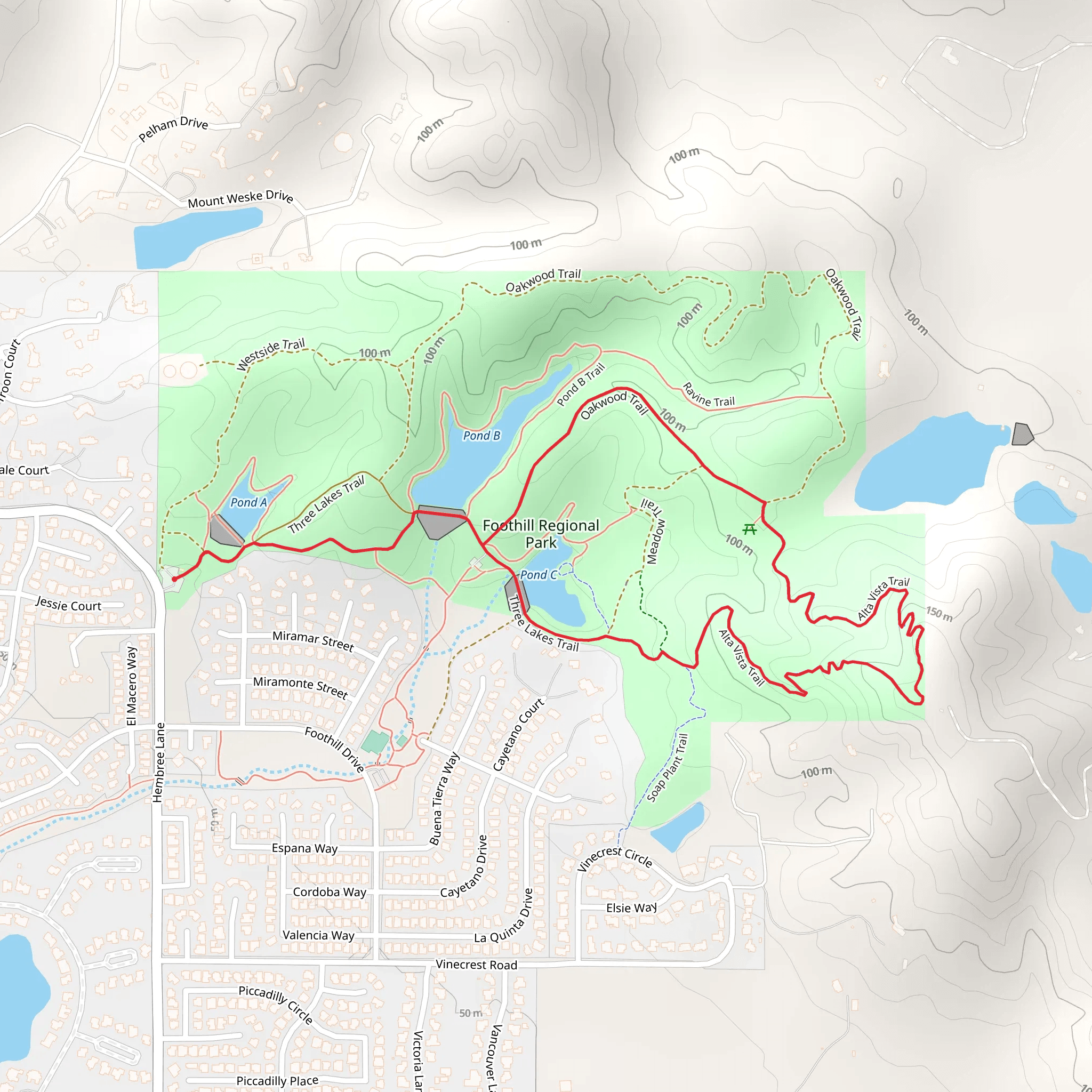 Oakwood - Alta Vista Loop Trail mobile static map