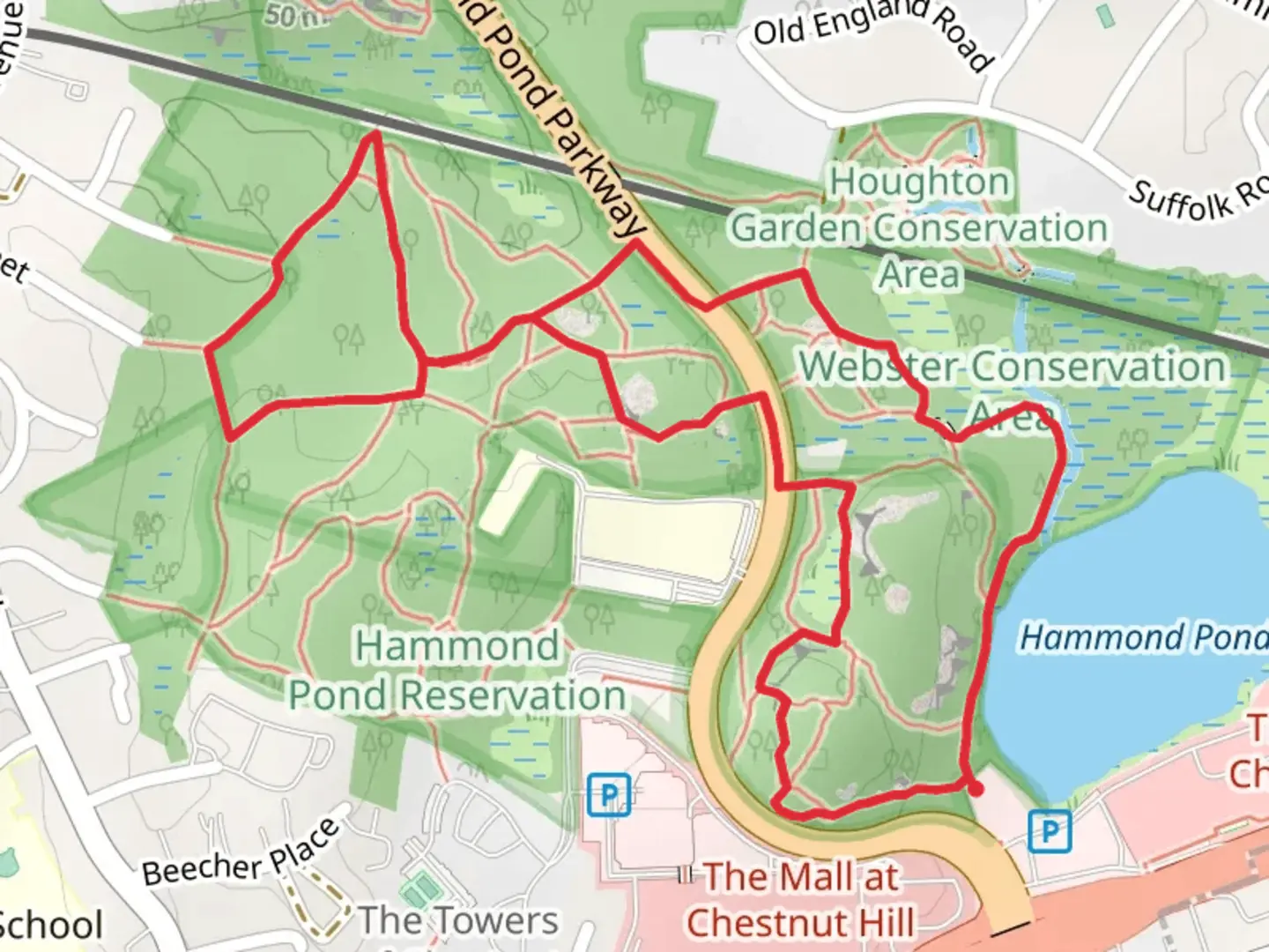 An image depicting the trail Hammond Pond to Webster Conservation Area Loop Trail and its surrounding area.