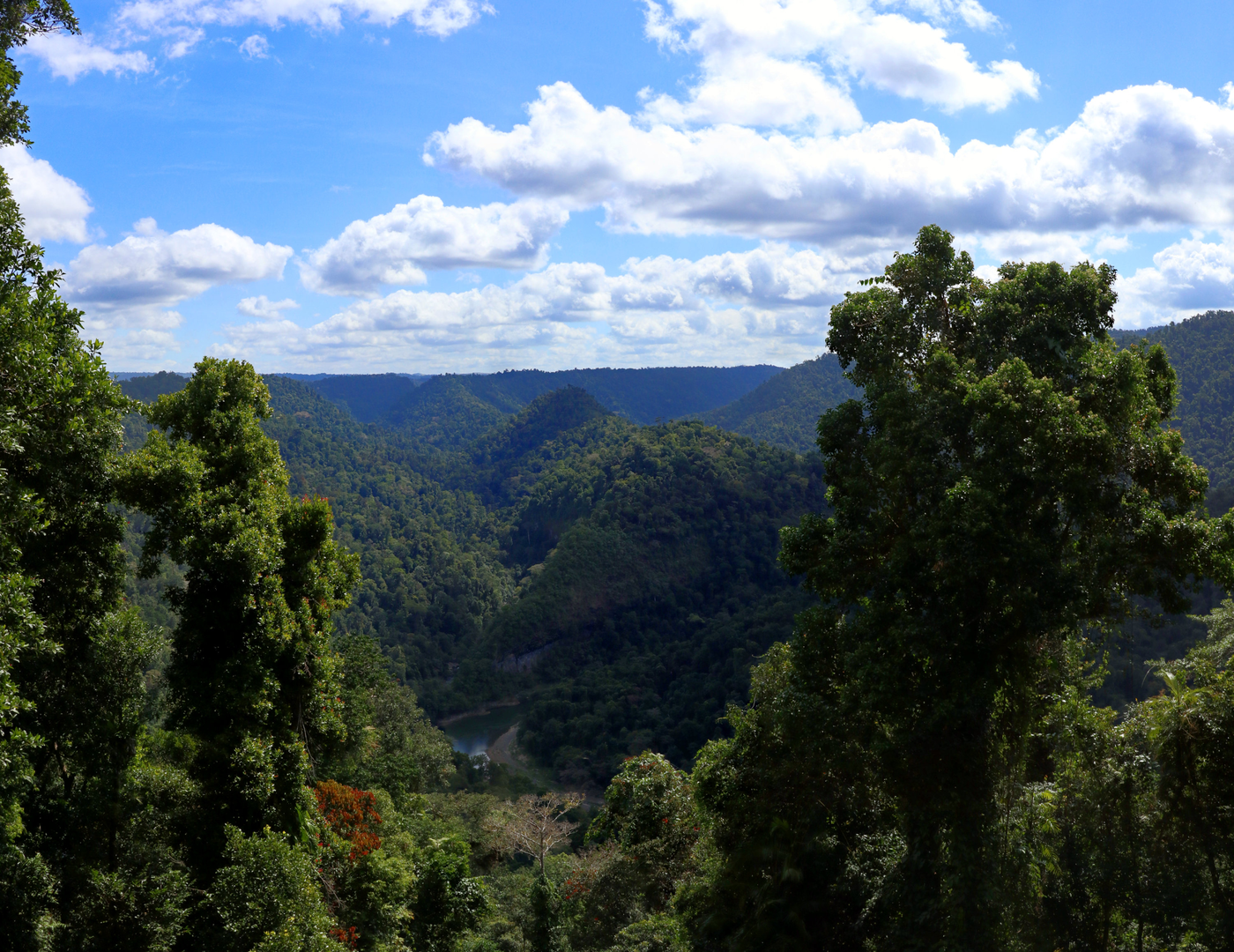 An image depicting the trail North Johnstone Lookout Walk and its surrounding area.