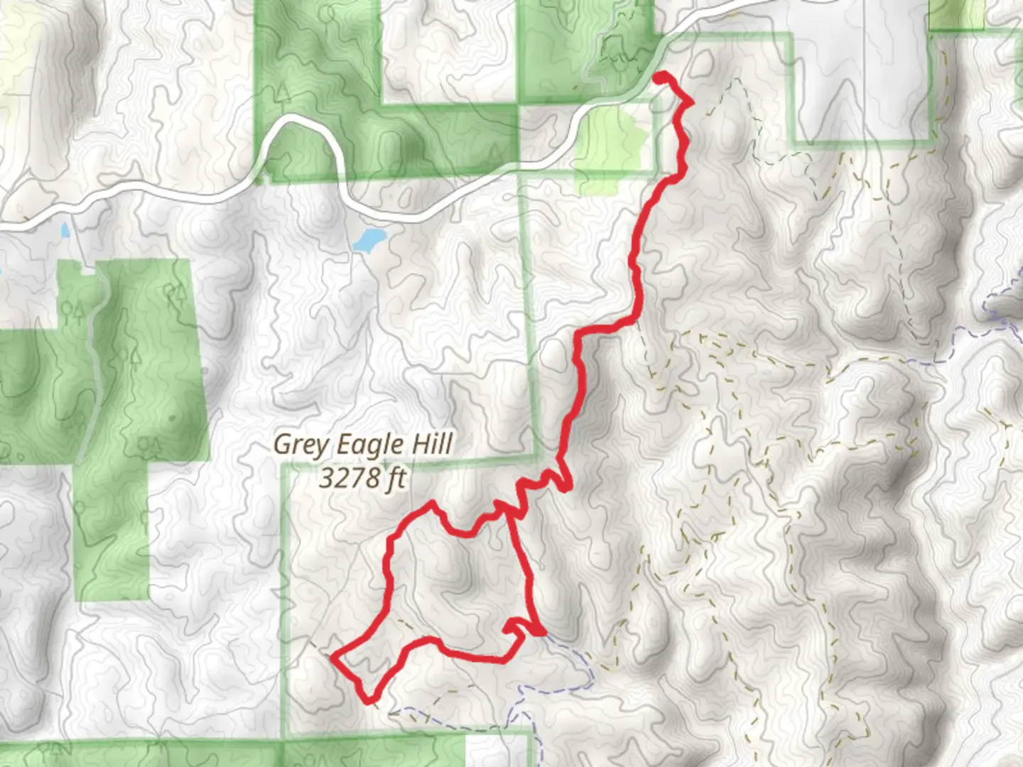 An image depicting the trail Little Silver Loop Trail and its surrounding area.