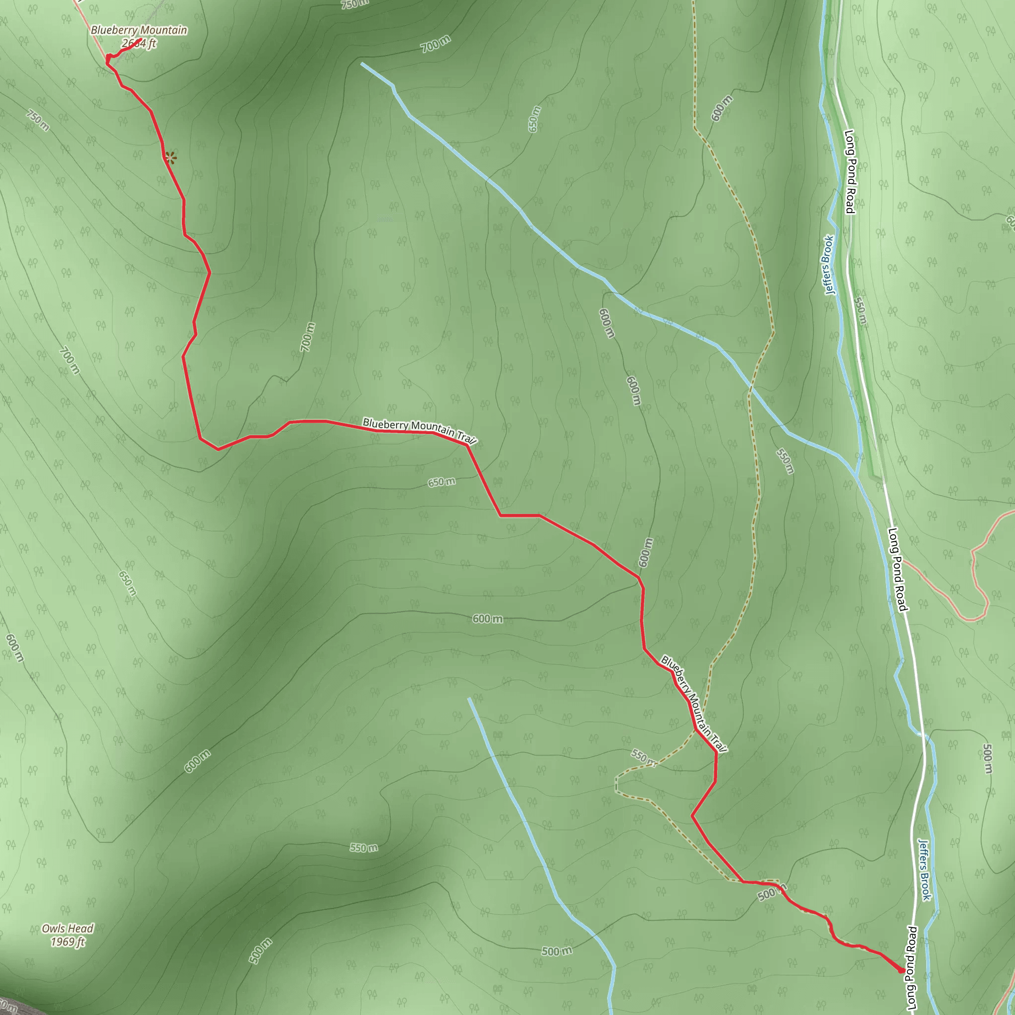 Blueberry Mountain South Trail mobile static map
