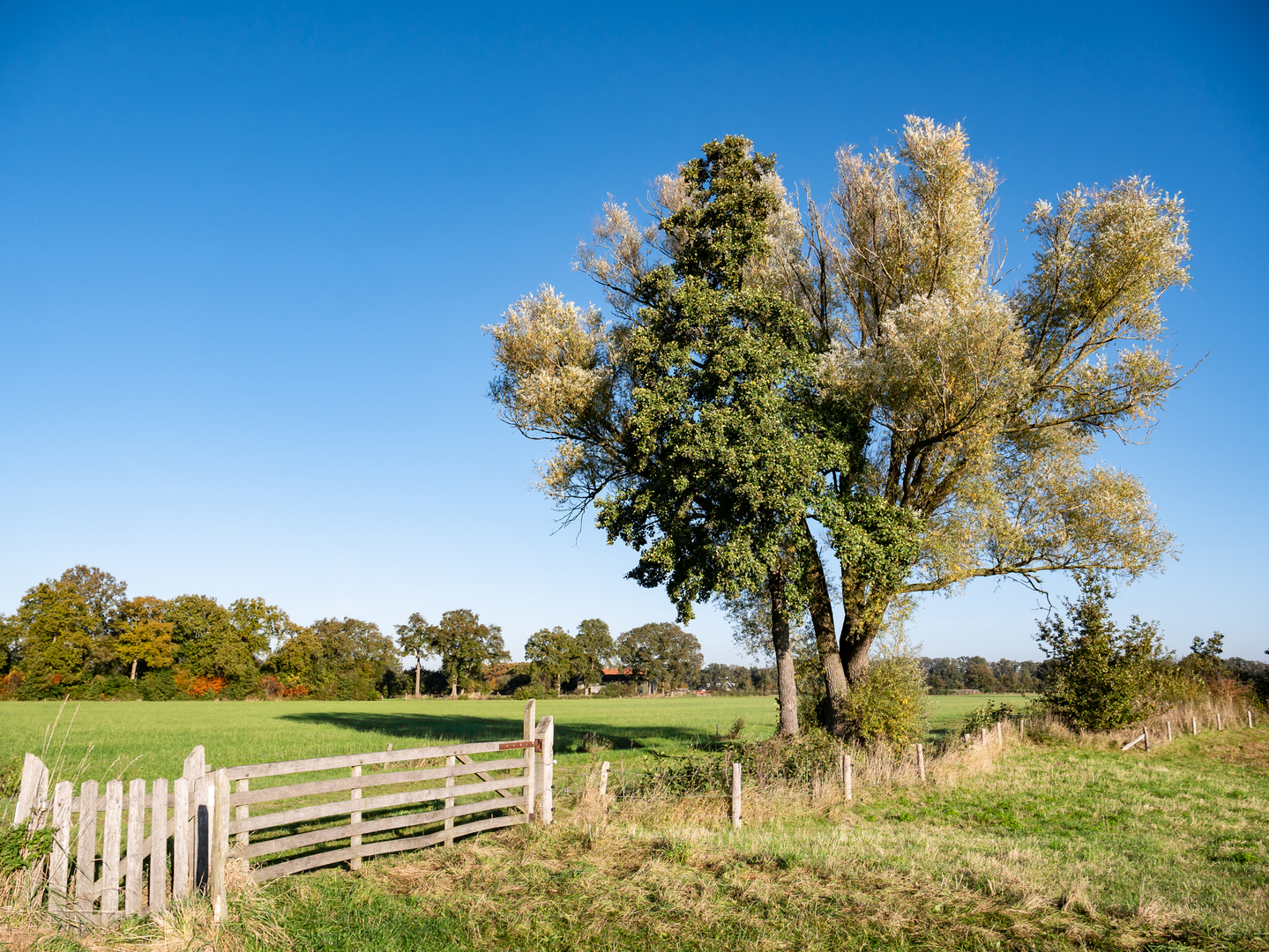 An image depicting the trail Reggepad and Breddendijk Loop and its surrounding area.