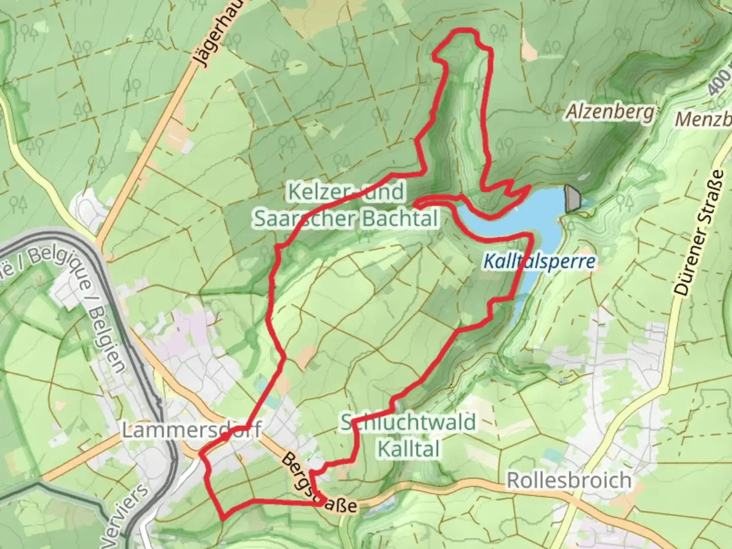 An image depicting the trail Lammersdorf and Kalltalsperre Loop and its surrounding area.