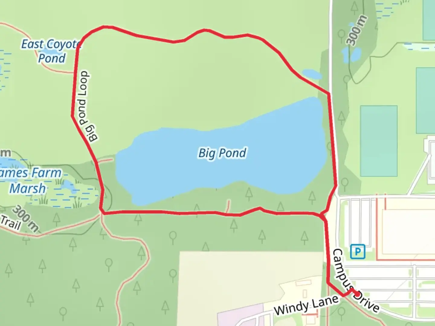An image depicting the trail Big Pond Loop and its surrounding area.