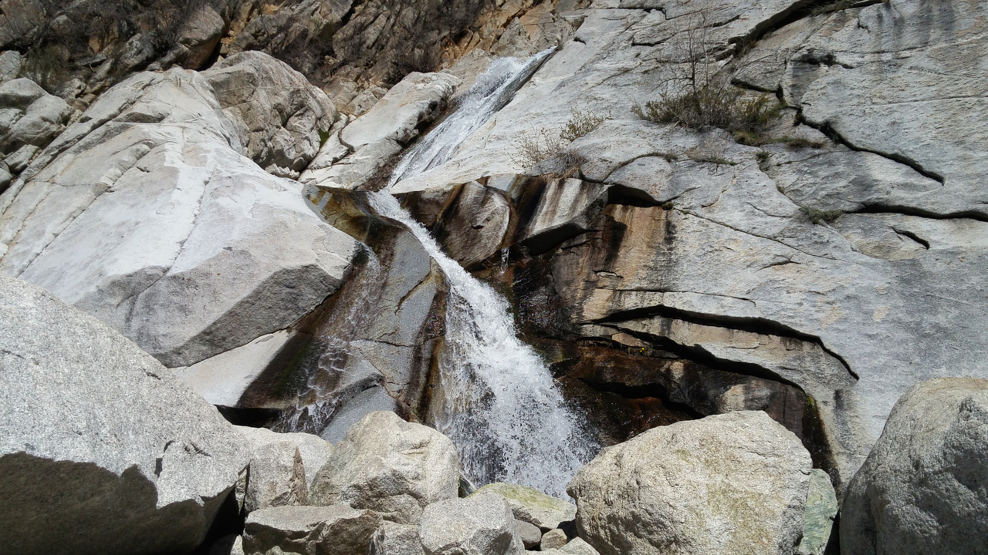 An image depicting the trail Lisa Falls Trail and its surrounding area.