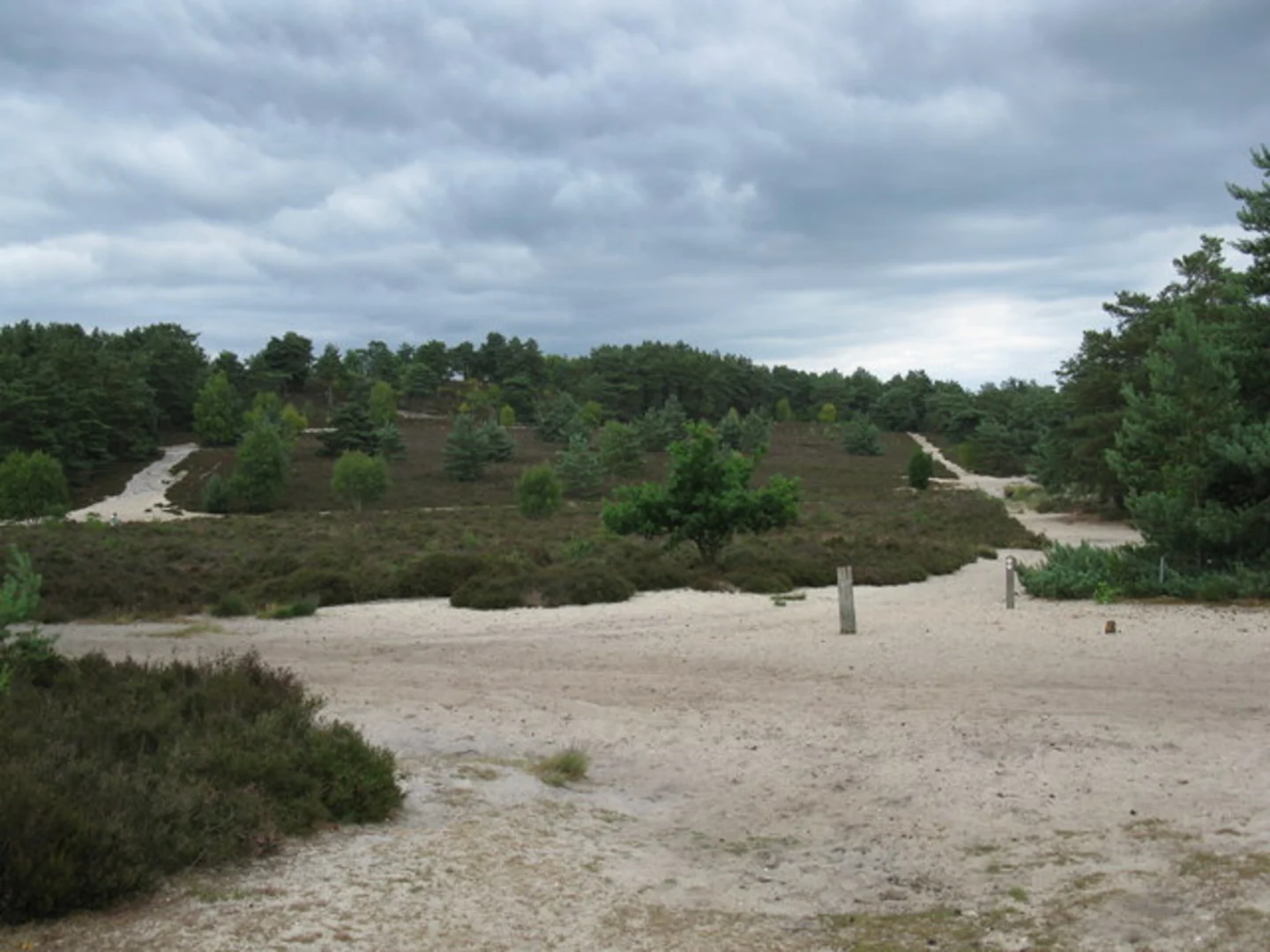 An image depicting the trail Frensham Little Pond Loop and its surrounding area.