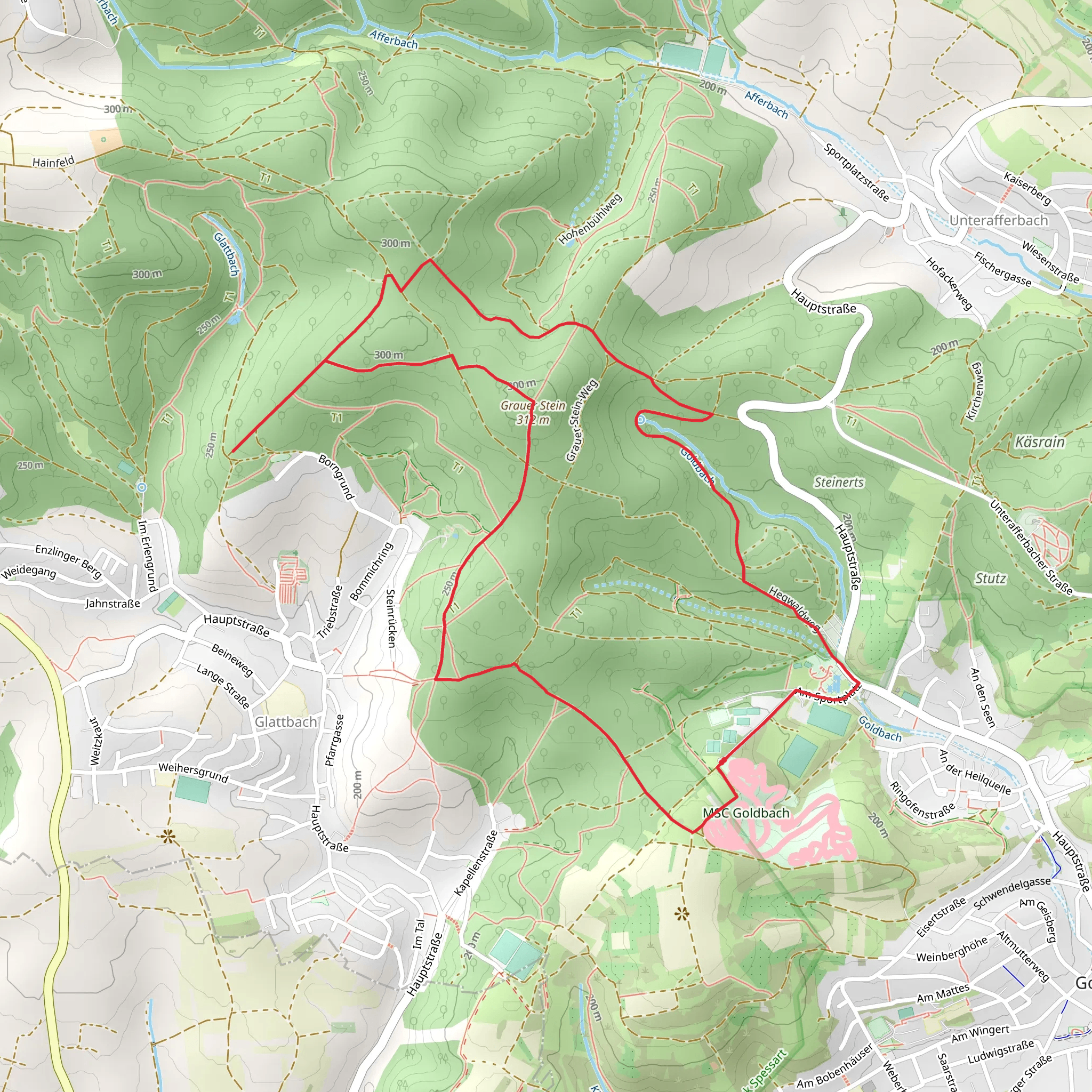 Grauer via Lauftreff Goldbach and Aschaffenburg Rundweg mobile static map
