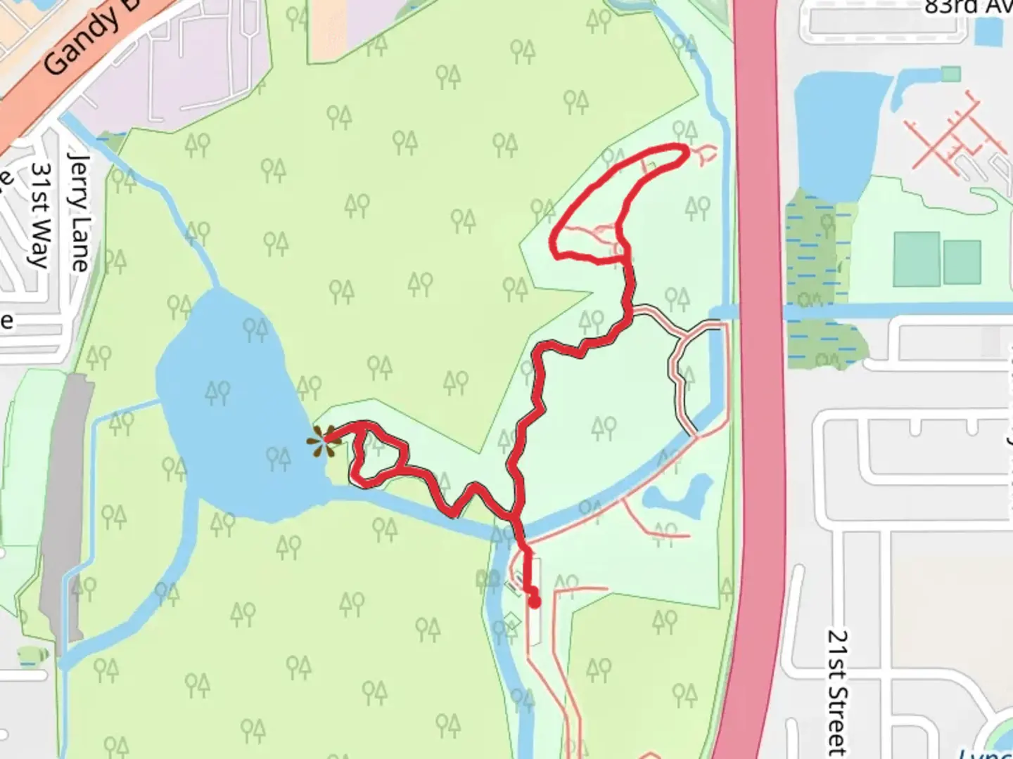 An image depicting the trail Sawgrass Lake Loop and its surrounding area.