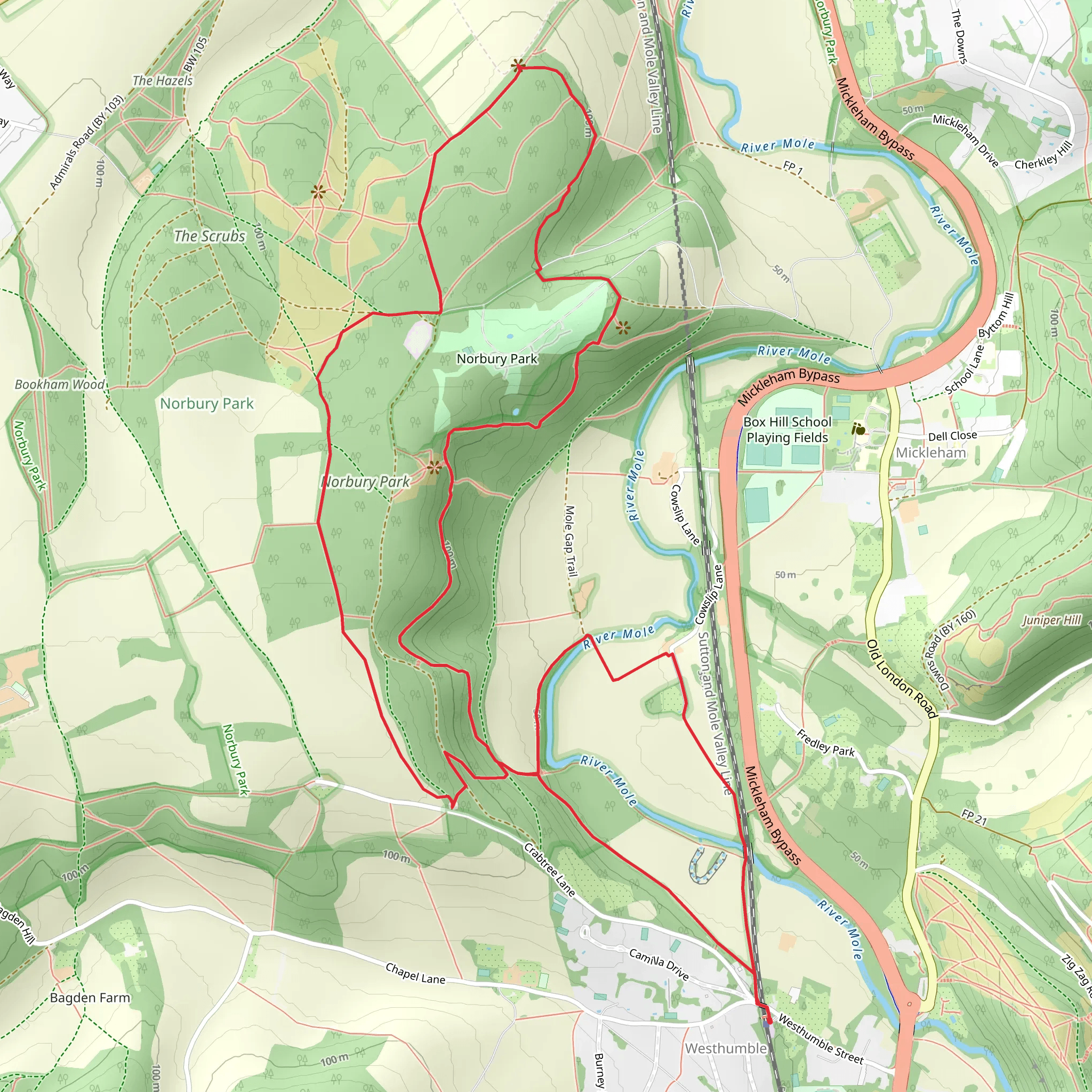 Beechy Wood, Norbury Park and Updown Wood mobile static map