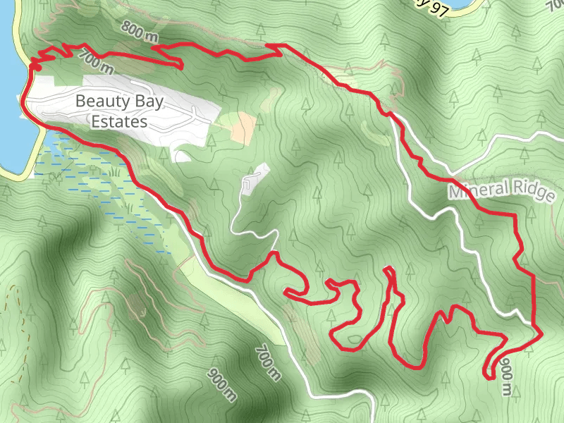 Mineral Ridge Trail and Beauty Creek Road Loop