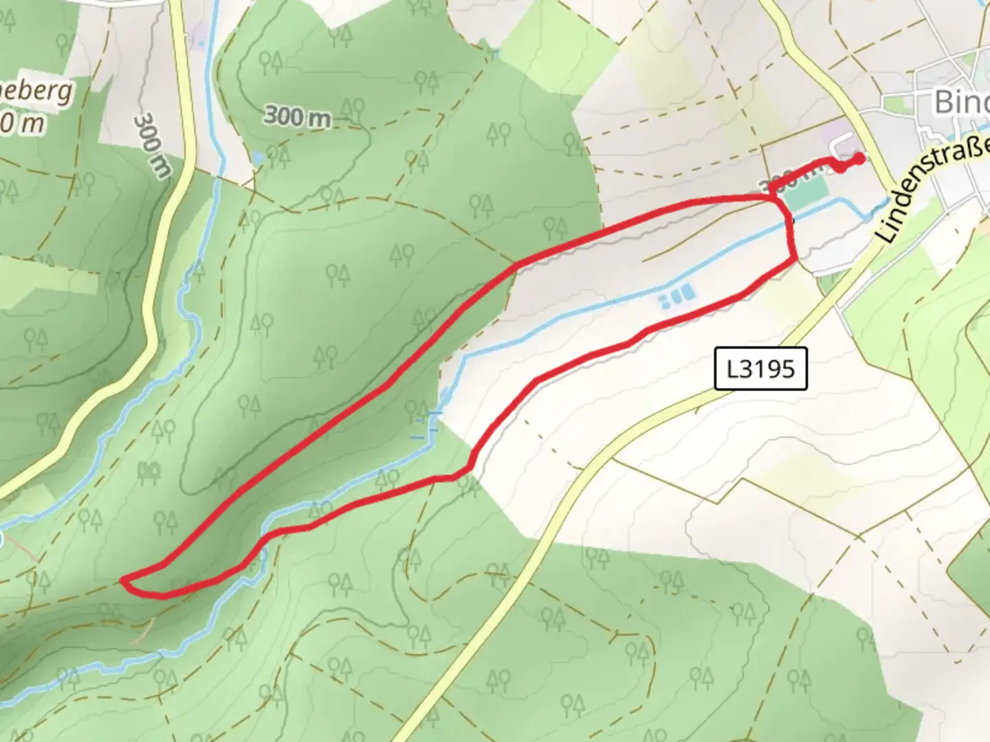 An image depicting the trail Wolfsbach Loop and its surrounding area.