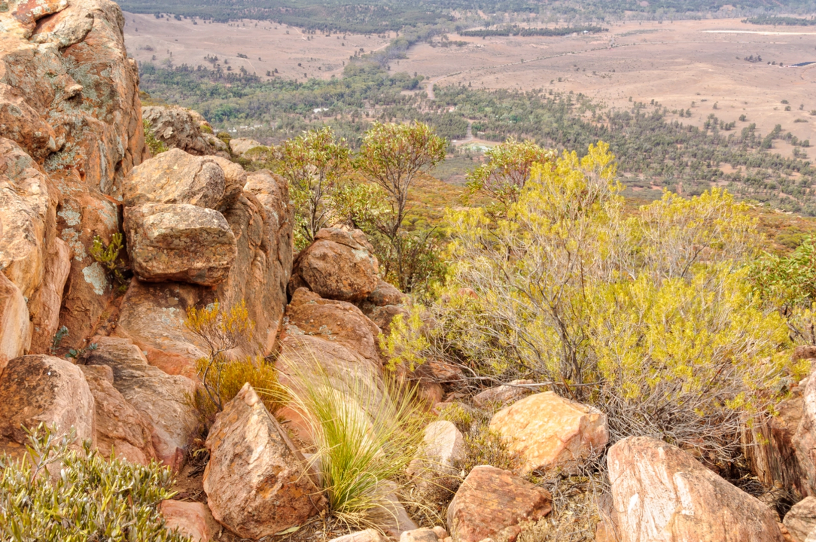 An image depicting the trail Boom and Bust Hike and its surrounding area.